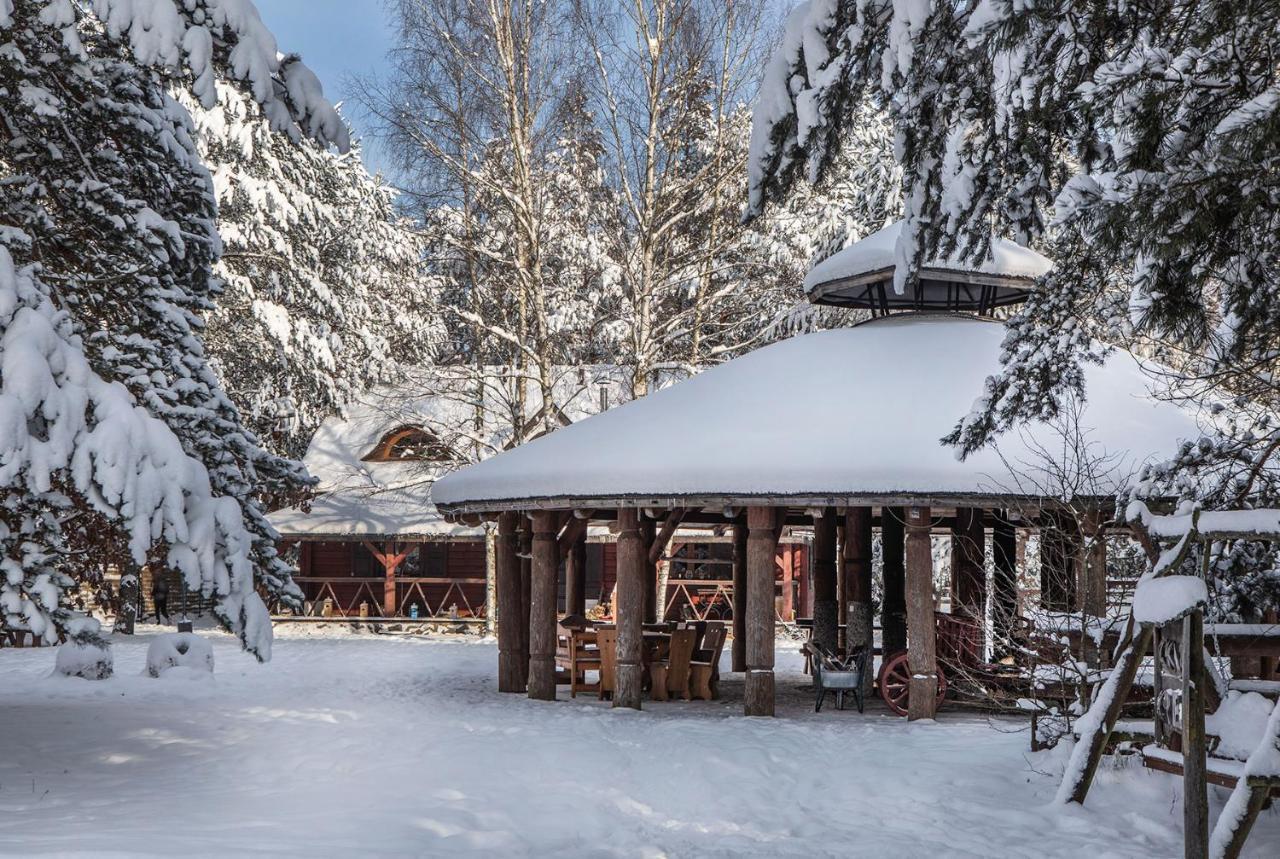 Maciejowka Borki 33 Villa Екстериор снимка
