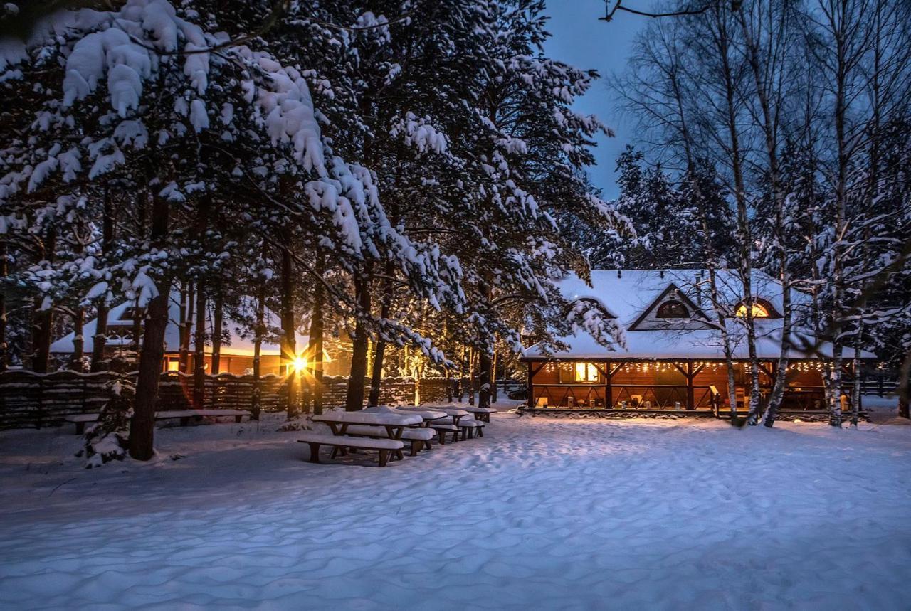 Maciejowka Borki 33 Villa Екстериор снимка