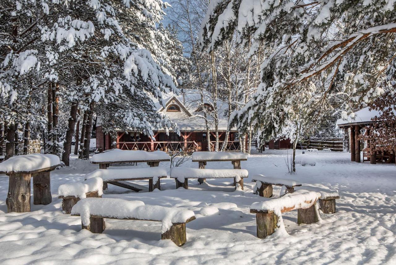Maciejowka Borki 33 Villa Екстериор снимка